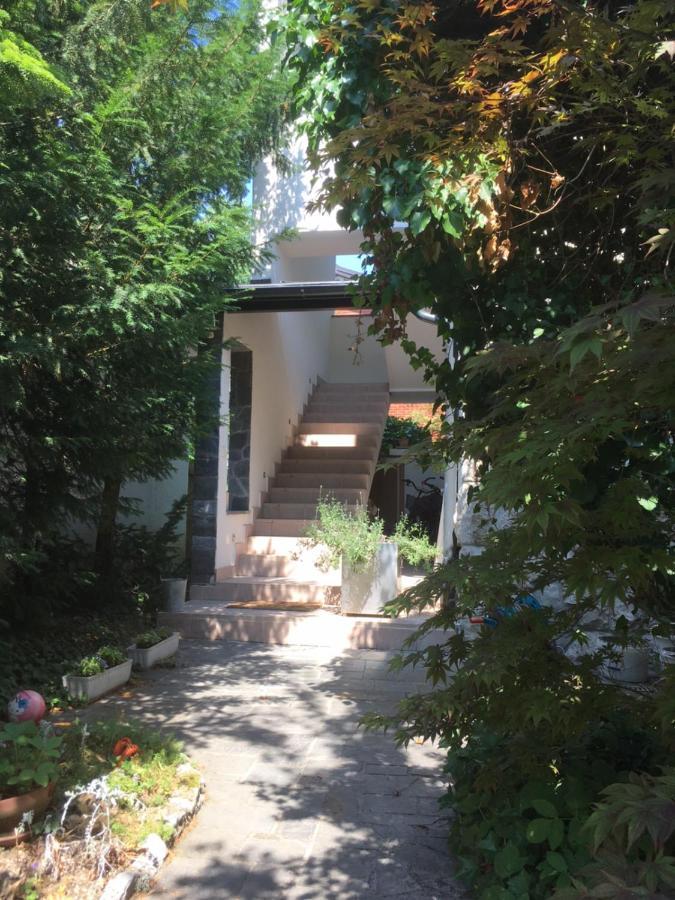 Hello Ljubljana- Green Way Rooms And Studios المظهر الخارجي الصورة