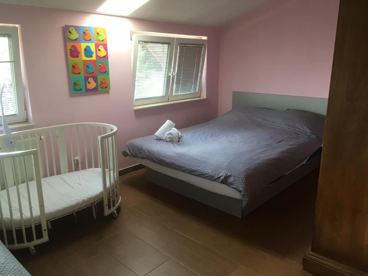 Hello Ljubljana- Green Way Rooms And Studios المظهر الخارجي الصورة