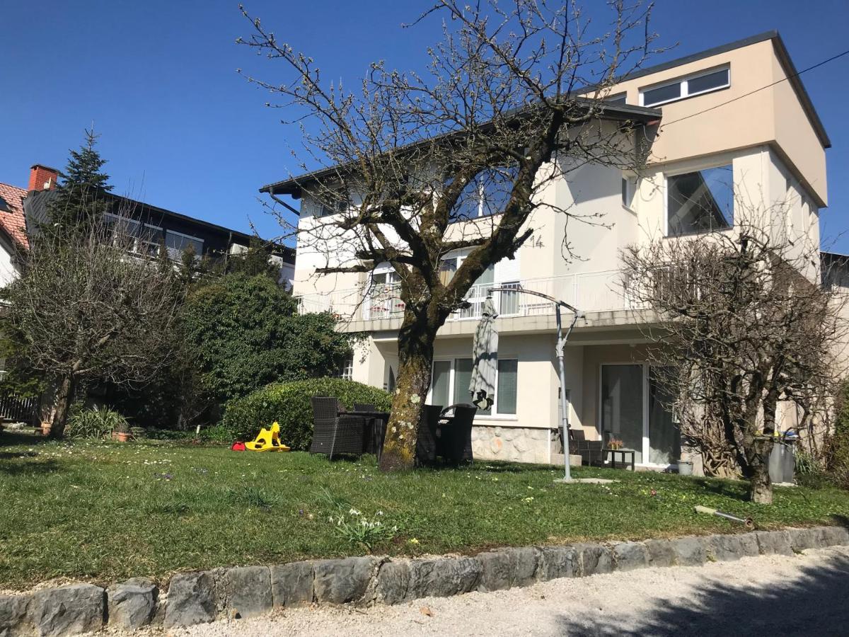 Hello Ljubljana- Green Way Rooms And Studios المظهر الخارجي الصورة