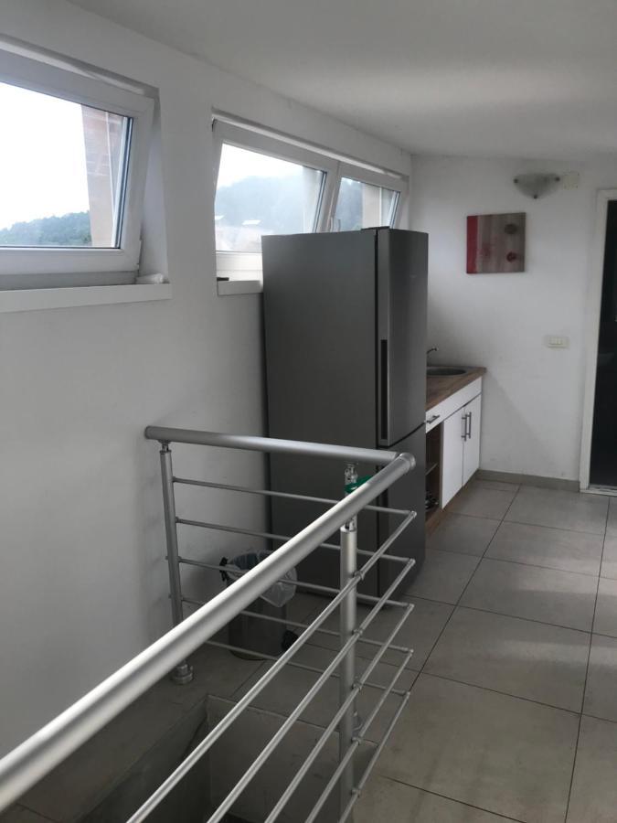 Hello Ljubljana- Green Way Rooms And Studios المظهر الخارجي الصورة